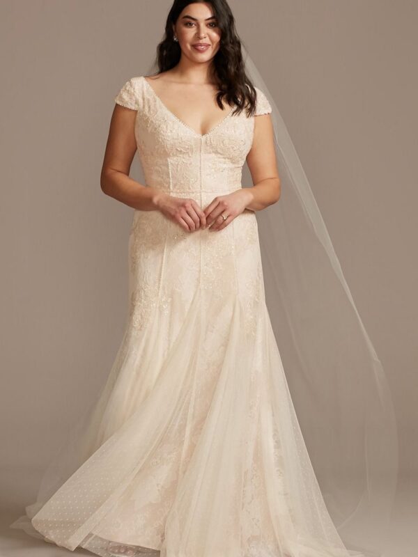 Cap Sleeve Point DEsprit Tall Plus Wedding Dress  4XL8MS251230