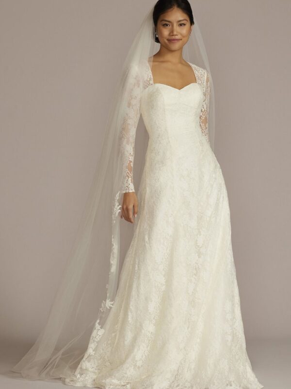 Allover Lace A-Line Long Sleeve Tall Wedding Dress Collection 4XLSLWG3805