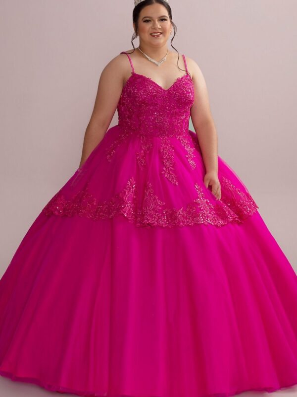 Corded Lace Plus Size Quince Ball Gown with Bolero Fifteen Roses 8FR2112