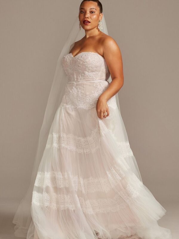 Banded Lace Point DEsprit Plus Size Wedding Dress  8MS251204