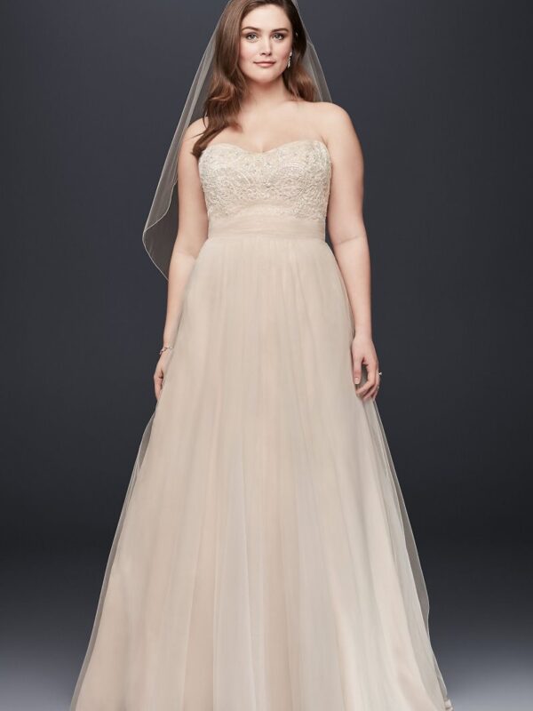 A-Line Beaded Lace Tulle Plus Size Wedding Dress Collection 9WG3586