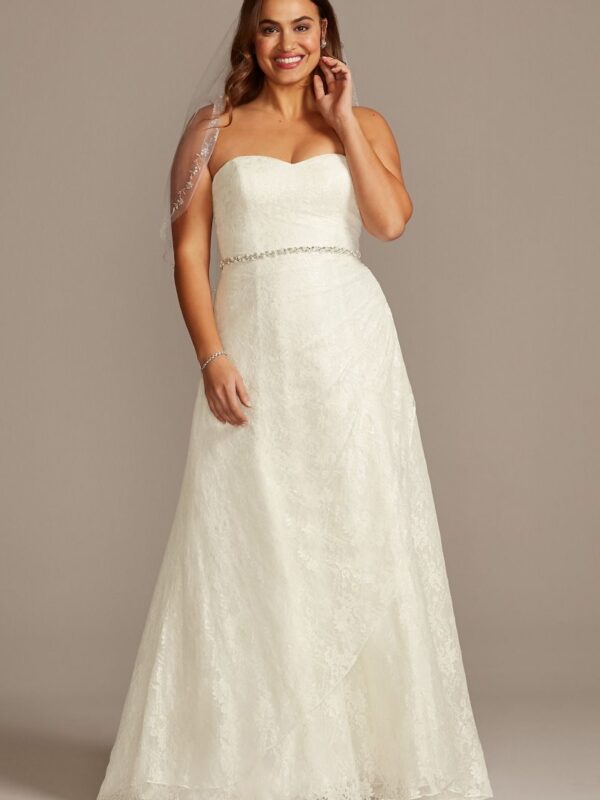 Allover Lace Plus Size A-Line Wedding Dress Collection 9WG3805