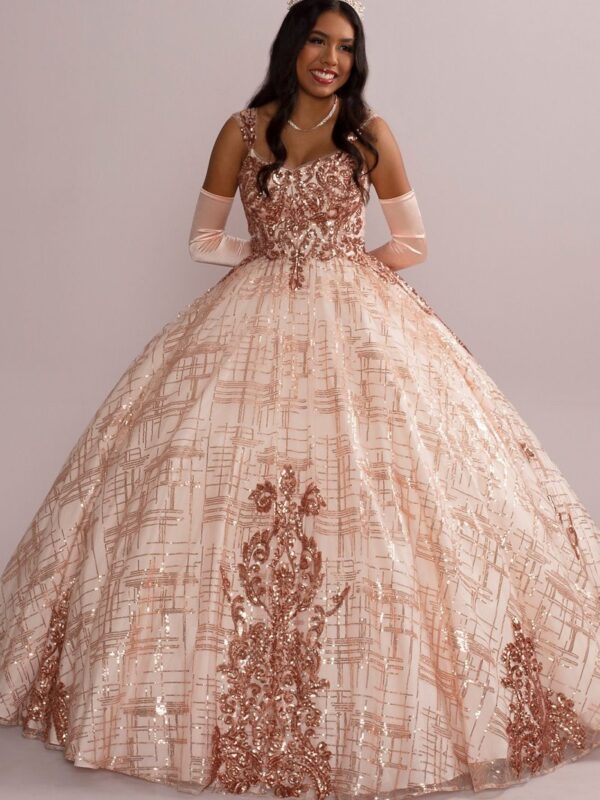 Patterned Sequin Quince Ball Gown with Bolero Fifteen Roses FR2113